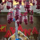 커넥트오션 | 숙소추천 하바나 나트랑 호텔 커넥트룸 후기/ HAVANA NHATRANG HOTEL 오션뷰 씨뷰 3베드룸(패밀리룸...