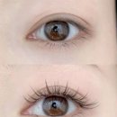 수원-0836 | 수원역피부학원 속눈썹, 왁싱 토탈샵 창업 방법