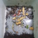 명주농장 이미지