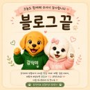 왔다왕십리곱창 | [신정동] 왕십리야채곱창 순대볶음 포장 후기, 퇴근 후 맥주 한 캔이랑 딱이었다