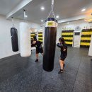 WJ복싱클럽 연천점 이미지