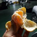 자동차주치의 닥터윤 이미지