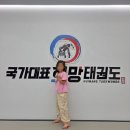 국가대표 태권도 키즈 이미지
