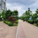 가야시장(아라길) 이미지