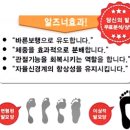 알즈너마음