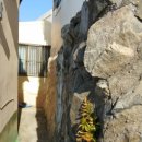 언덕위에집 이미지