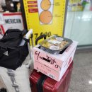 팬스타미라클 | 부산 일본 크루즈여행 팬스타미라클 결항, 드림호 대체 탑승 후기