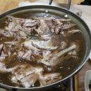 천둥옻오리 이미지