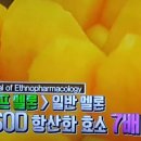 뉴스킨건강기능식품