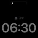 봄꽃송이