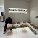 상동 | 부천 미용실 여자클리닉 살롱더샹델 부천 상동점 후기