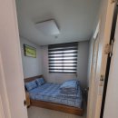 바바벨리 이미지