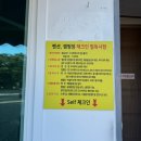 나로캠핑장 | [전남/고흥] 바다가 보이는 캠핑장, 나로힐링캠핑 내돈내산 후기/전남 근교 캠핑장 추천