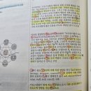 파시생 동차반 → 1~3기 34회 합격수기(노 이수진 54.9, 인 김유미 58.7, ★행 윤성봉 68.3, 경 김유미 61.5) 이미지