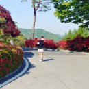 렉스골프연습장 이미지