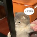 명심 Daum카페
