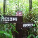 방화동 생태길 이미지