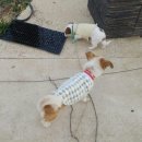 요동농장 이미지