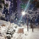 포트캔커피만리재점