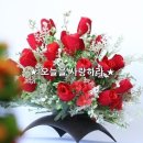 니아