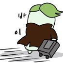 뽀끼보끼 이미지