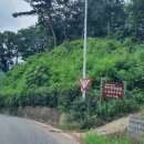 박거겸 장군 묘 이미지