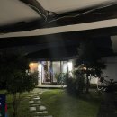 한라1950 | 제주 월정리 횟집 추천, 스시마씸 고등어회·딱새우 솔직후기