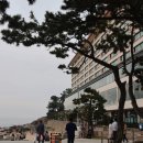 송림공원 주차장 | [부산 나들이] 해운대 수국 개화 현황을 담은 송림공원 방문 후기(feat. 주차장 최단경로)