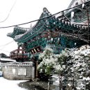 용성 Daum카페