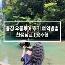 중국여행 충칭 우롱 투어 | 예약방법 및 추천 후기