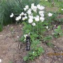 다사초등학교병설 이미지