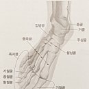 상이네일 이미지