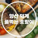 풀먹는호랑이평산덕계점 | [양산 덕계 포케 샐러드 맛집]다이어트 건강식 쌈밥 "풀먹는 호랑이"