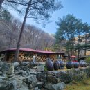 달둔소낭펜션 이미지