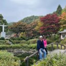천주교역사공원 | 가을 국내 여행지 추천 충북 단풍명소 제천 배론성지