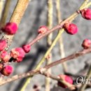 성산구 ⓒ-1 이미지