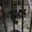 차차농장 이미지