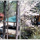 학가산우래자연휴양림 이미지