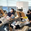 씨에스나무병원 이미지