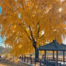 신당마을회관 이미지