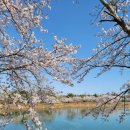 영랑호수공원 이미지