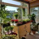 까페오월 이미지