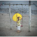 해바라기다방 - 안산시 단원구 | 해바라기다방