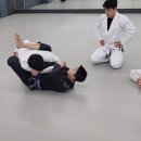 카우보이mma 이미지