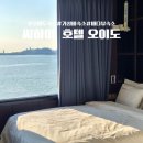 투썸모텔 | [경기/시흥] 오이도 숙소/ 씨하이 호텔 후기 / 바다 앞 가성비 숙소
