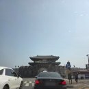 봄날의댕댕이 | 봄날의 행리단길에서 데이트하기 (헤올커피로스터즈,언더바101,존앤진피자펍)