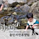 용인 가볼만한 곳 용인자연휴양림 1박 2일 숙박 후기