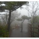 미륵산전망대 이미지