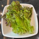 마당넓은 집 | 곤지암 갈비 냉면 맛집, 마당넓은집 내돈내산 후기