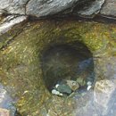 성주(양평) 이미지